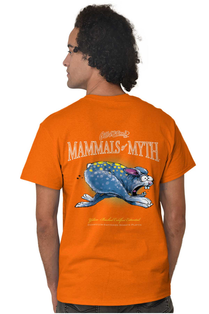 Male_TennesseeOrange1 |